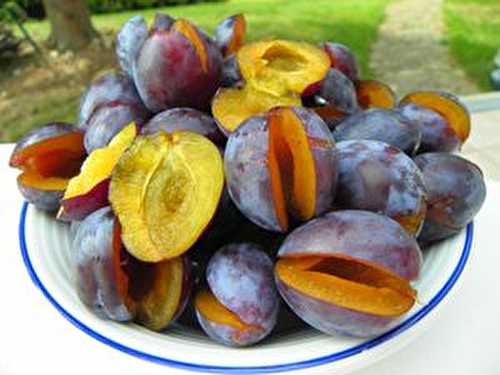 CONFITURE DE PRUNEAUX