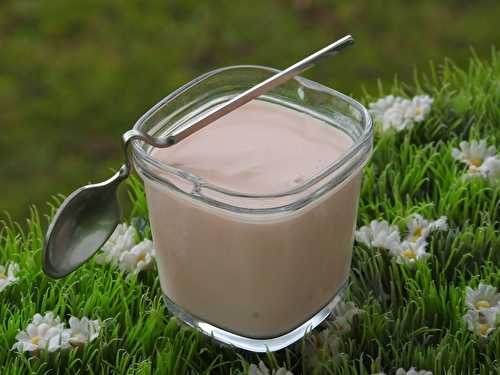 CREME DESSERT A LA PATE A TARTINER A LA PRALINE ROSE (thermomix)