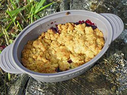 CRUMBLE AUX MURES (thermomix)