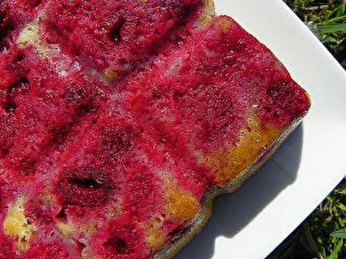 DOUCEUR AUX FRAMBOISES (thermomix)