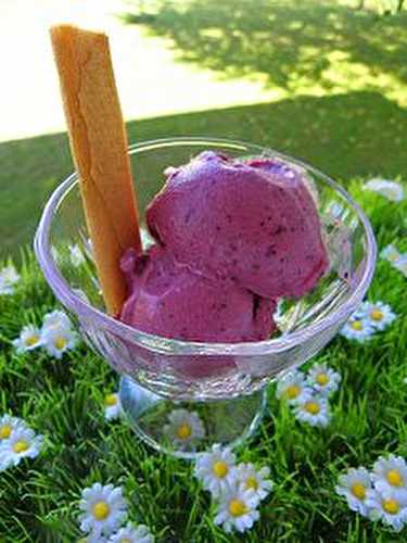 GLACE A LA CERISE (thermomix)