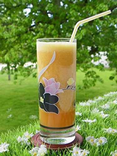 JUS DE FRUITS (Thermomix)