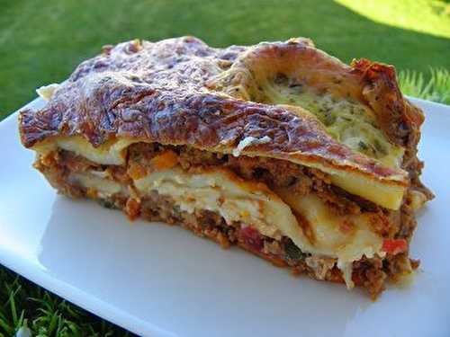 LASAGNES JULIENNE DE LEGUMES ET VIANDE (Thermomix)