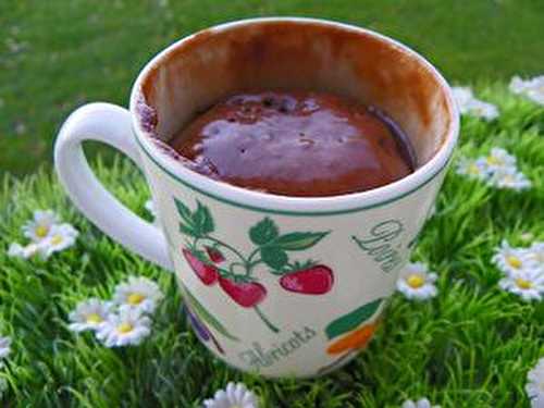 MUGS CAKES AU CHOCOLAT ( thermomix)