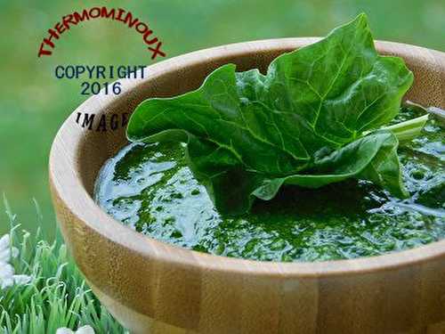 PESTO D'EPINARDS (thermomix)