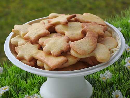 PETITS SABLES FACILES (thermomix)