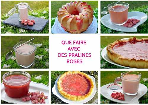 QUE FAIRE AVEC DES PRALINES ROSES (thermomix) - Blog cuisine Thermomix avec recettes pour le TM5 & TM31