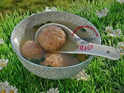 SOUPE CHINOISE AUX BOULETTES DE CREVETTE (thermomix)