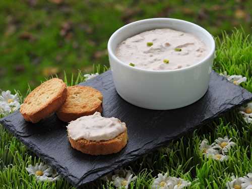 TARTINADE DE THON AU SAINT MORET (themomix)