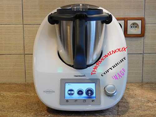 UN TOUR EN CUISINE n° 364 : LES DANETTES GOURMANDES AU CHOCOLAT MAISON (thermomix)