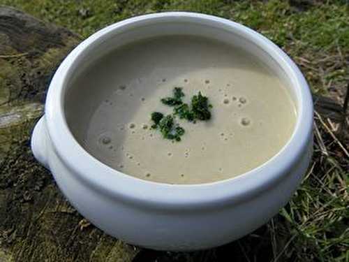 VELOUTE D'ENDIVES (thermomix)