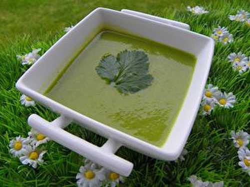 VELOUTE DE COURGETTES - FANES DE RADIS - PATATE DOUCE (thermomix)