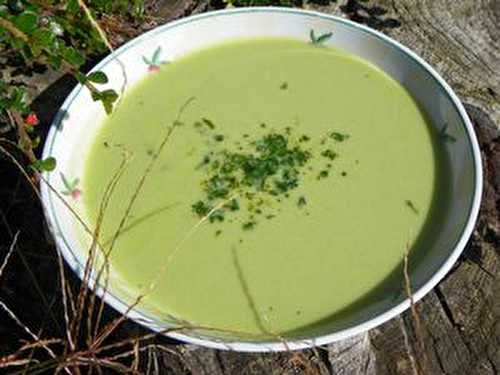 VELOUTE DE HARICOTS VERTS