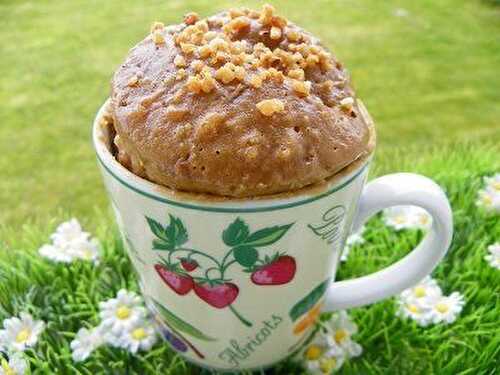 UN MUG CAKE CA VOUS DIT !