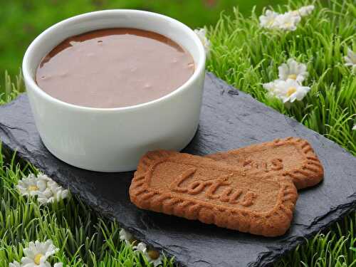 QUE FAIRE AVEC DES SPECULOOS (thermomix)