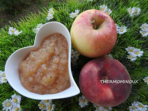 COMPOTE POMME PECHE (Cookéo)