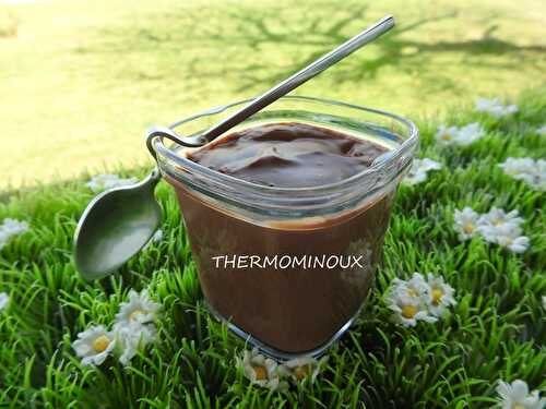 CREME DESSERT AU CHOCOLAT DE YUMMIX (thermomix)