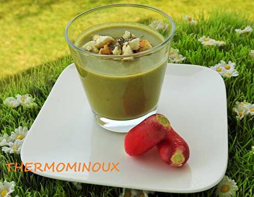 GASPACHO DE FANES DE RADIS (thermomix)