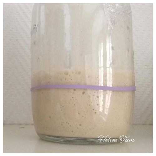 Levain liquide de seigle levain liquide au seigle pour thermomix