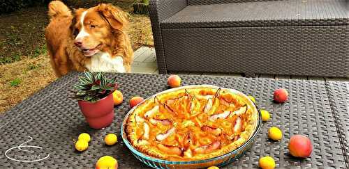 Tarte feuilletée aux mirabelles, abricots et nectarines