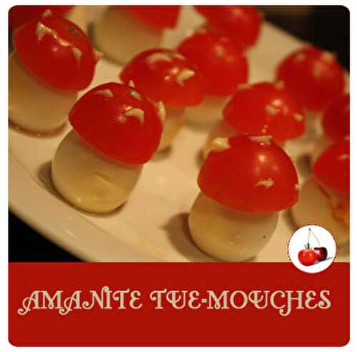 AMANITE TUE-MOUCHES