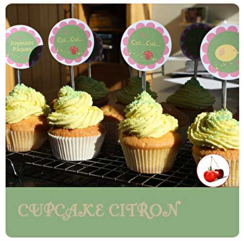 CUPCAKE CITRON