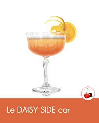 Le Daisy Side Car