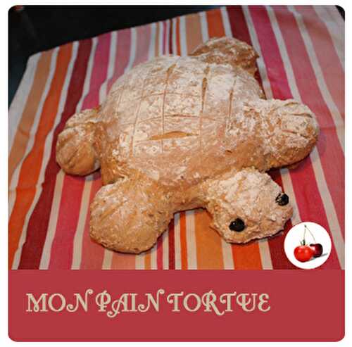 MON PAIN TORTUE