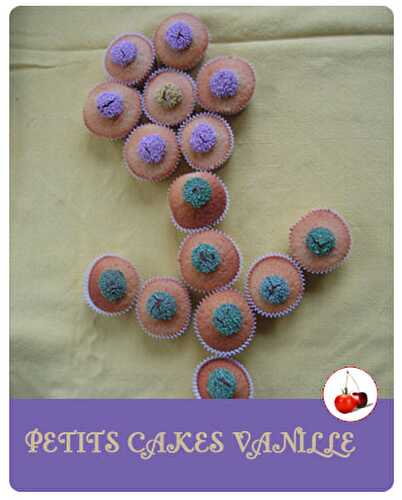 PETITS CAKES VANILLE