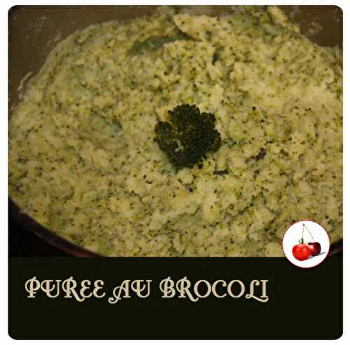 PUREE AU BROCOLI