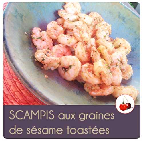 SCAMPIS aux graines de sésame toastées