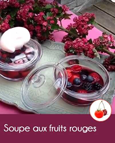 Soupe aux fruits rouges et jus de Cranberry | Recette 100 % fruits