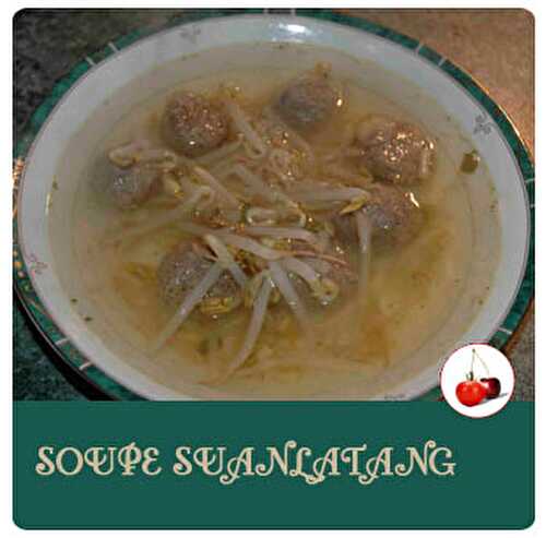 Soupe aux nouilles chinoise et boulettes de porc |