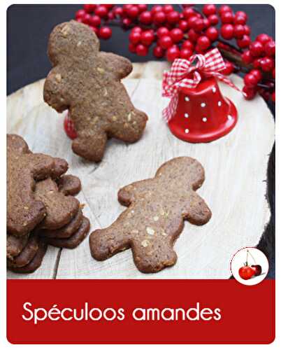 Spéculoos amandes | Cadeau gourmand | La recette