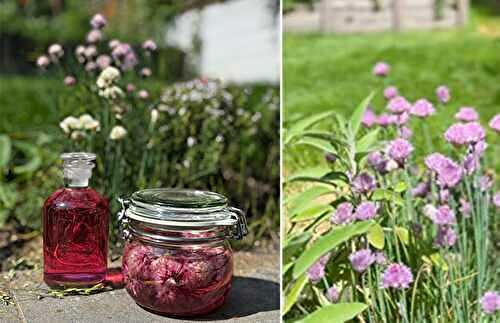 Vinaigre aux fleurs de ciboulette 