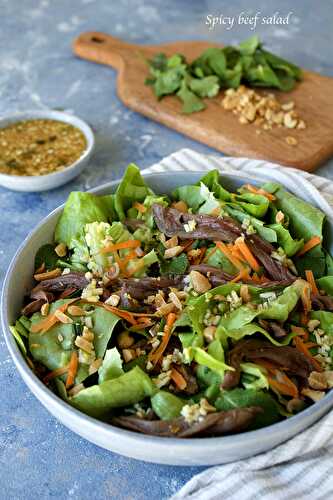 Salade de boeuf pimentée