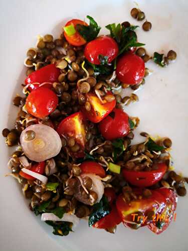 Salade de lentilles germées - Try this !