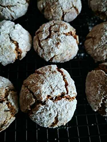 Boules de neige (sans lactose)