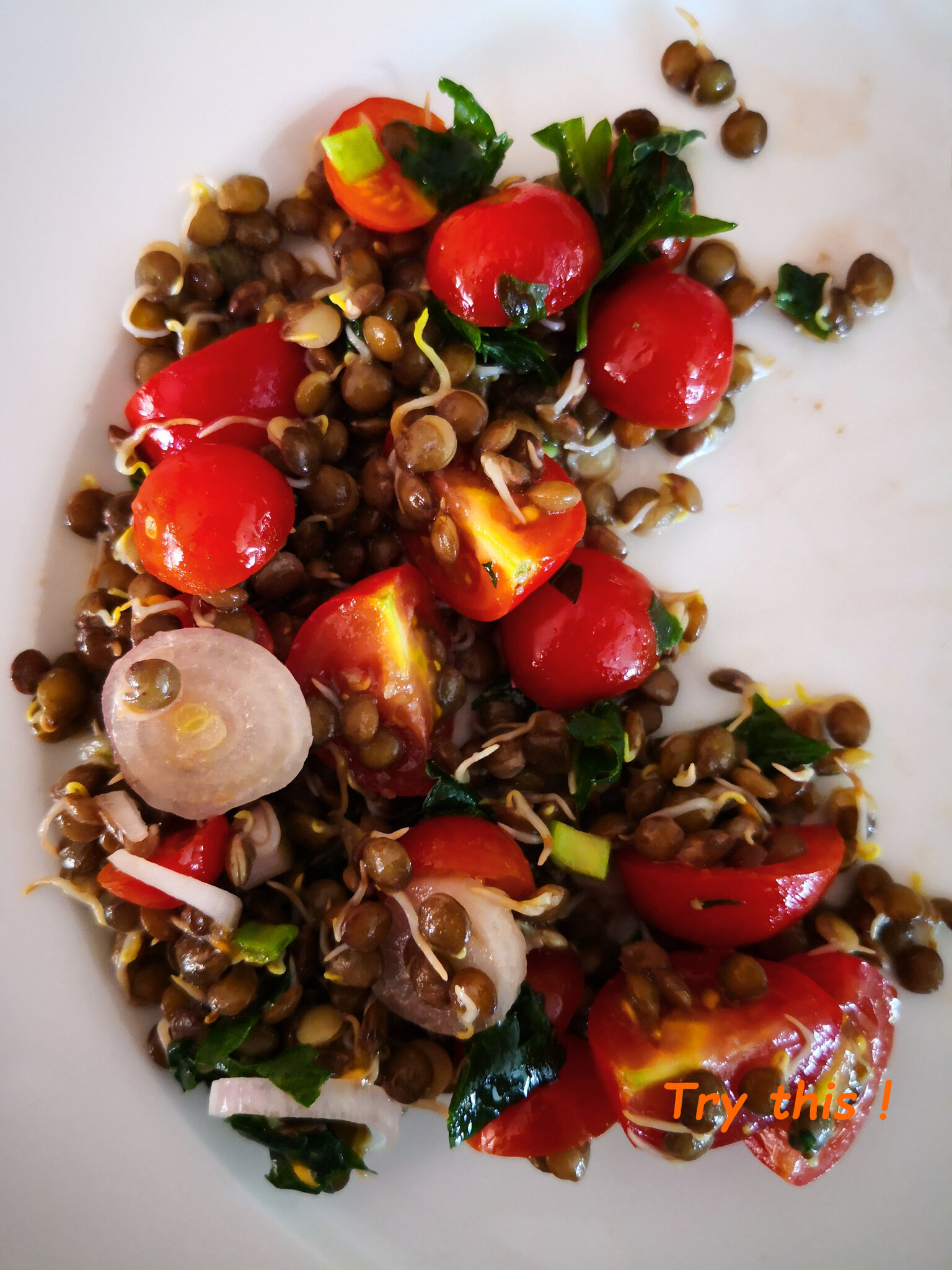 Salade de lentilles germées