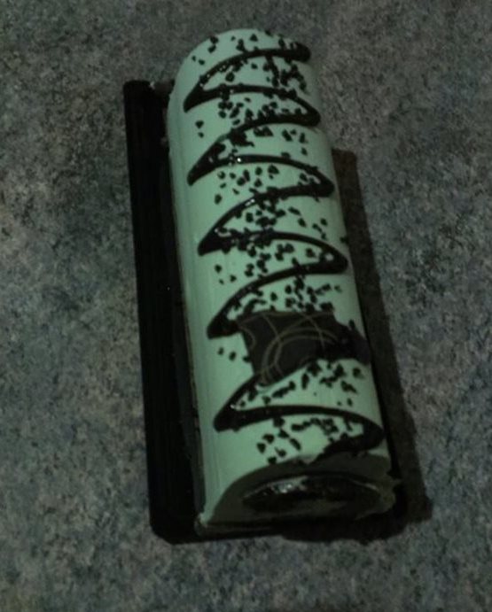 Bûche menthe/chocolat