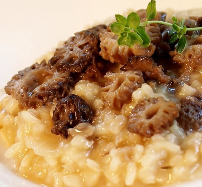 Risotto aux morilles et  vin jaune