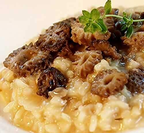 Risotto aux morilles et  vin jaune