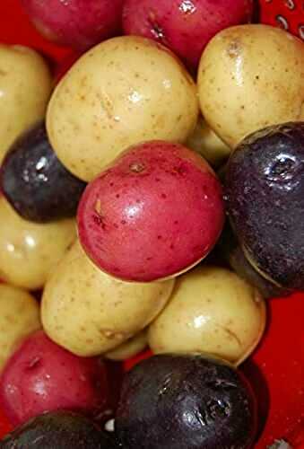 Salades de Pomme de terre bleu, blanc, rouge