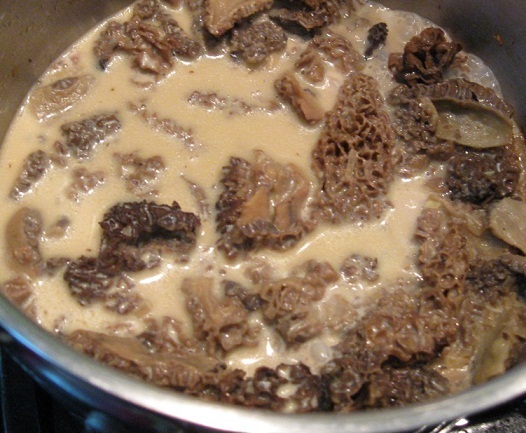 Sauce aux morilles