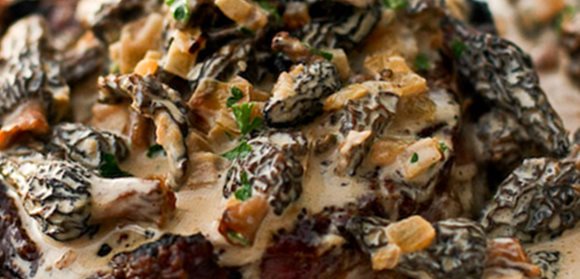 Sauce morilles à la crème