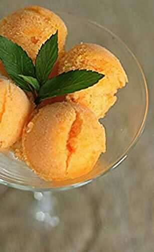 Sorbet abricot