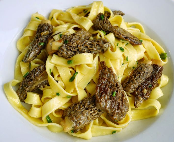 Tagliatelles aux morilles