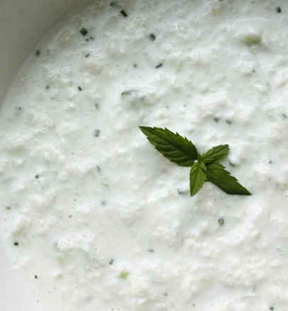 Tzatziki de courgette,Tout est bon dans la courgette,