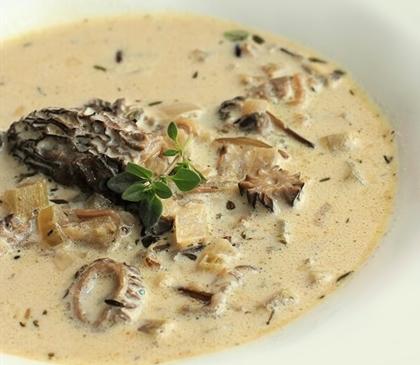 Velouté de pomme de terre et morilles