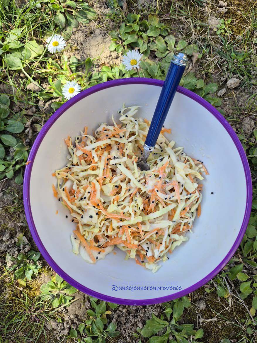 Salade de chou blanc et carottes